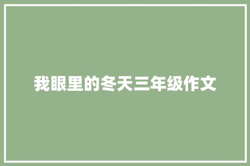 我眼里的冬天三年级作文