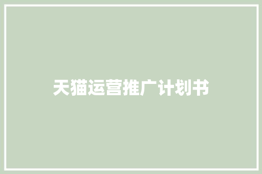 天猫运营推广计划书