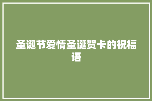 圣诞节爱情圣诞贺卡的祝福语 词汇积累