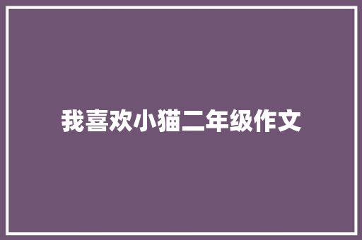 我喜欢小猫二年级作文 商业文案