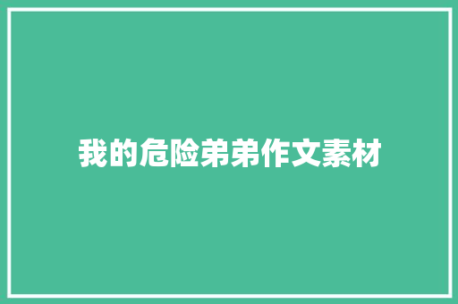 我的危险弟弟作文素材