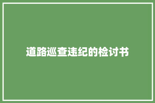 道路巡查违纪的检讨书 范文赏析