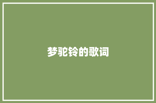 梦驼铃的歌词