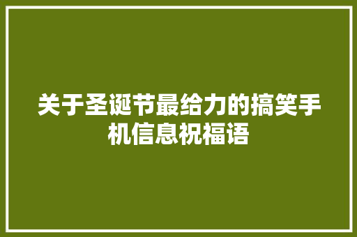 关于圣诞节最给力的搞笑手机信息祝福语 报告写作
