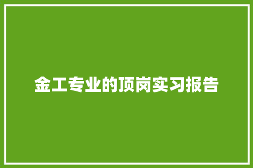 金工专业的顶岗实习报告 商业文案