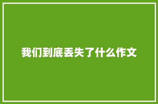 我们到底丢失了什么作文 简历模板