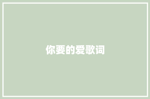 你要的爱歌词