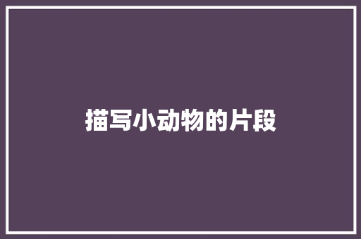 描写小动物的片段 词汇积累