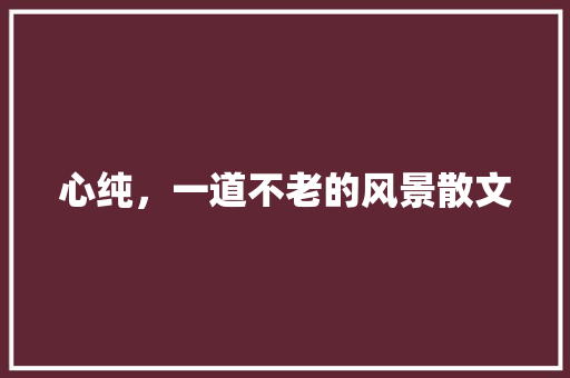 心纯，一道不老的风景散文