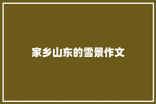 家乡山东的雪景作文 范文赏析