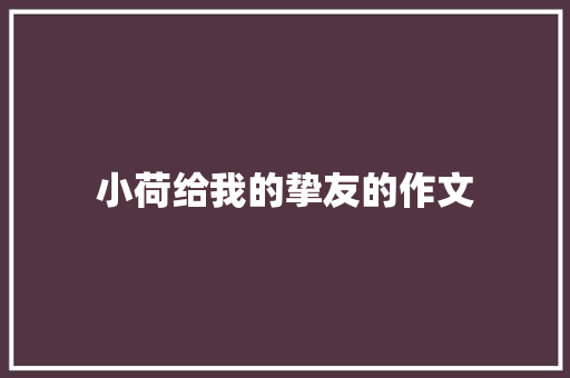 小荷给我的挚友的作文 简历模板