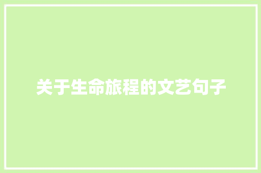 关于生命旅程的文艺句子 报告写作