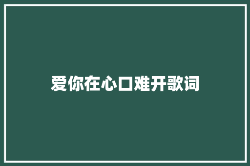 爱你在心口难开歌词 词汇积累