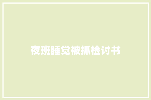 夜班睡觉被抓检讨书