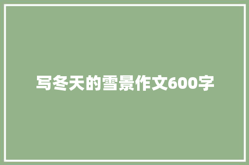 写冬天的雪景作文600字 词汇积累