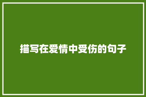 描写在爱情中受伤的句子 词汇积累