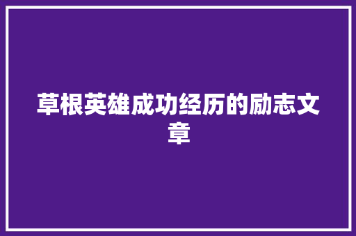 草根英雄成功经历的励志文章 简历模板