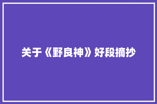 关于《野良神》好段摘抄