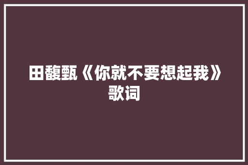 田馥甄《你就不要想起我》歌词 报告写作
