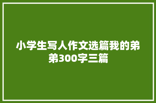小学生写人作文选篇我的弟弟300字三篇 写作技巧