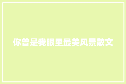 你曾是我眼里最美风景散文 词汇积累