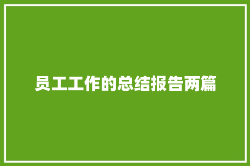 员工工作的总结报告两篇 范文赏析