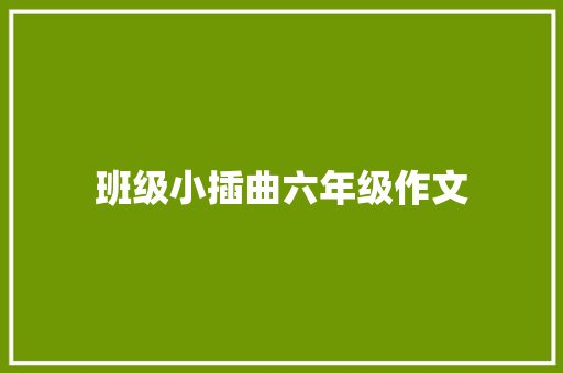 班级小插曲六年级作文 简历模板