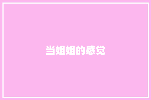 当姐姐的感觉 写作素材