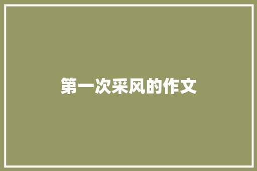 第一次采风的作文 词汇积累