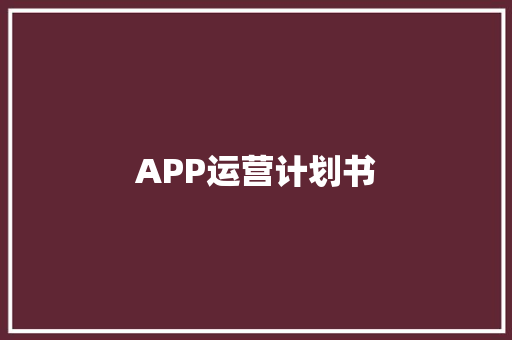 APP运营计划书 报告写作