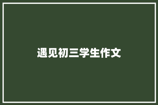 遇见初三学生作文 报告写作