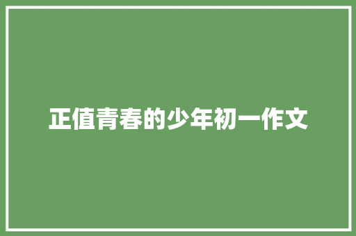 正值青春的少年初一作文 商业文案
