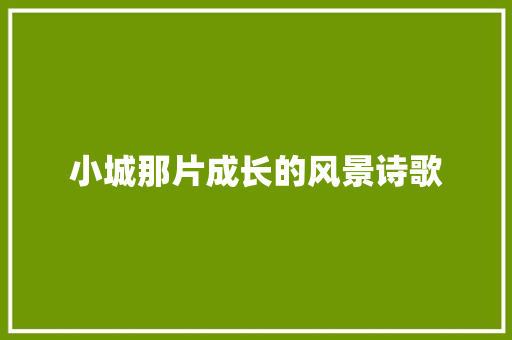 小城那片成长的风景诗歌 词汇积累