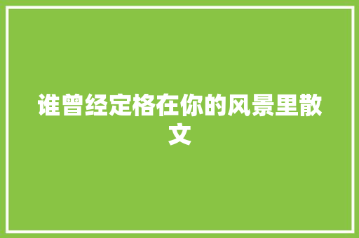 谁曾经定格在你的风景里散文 写作社区