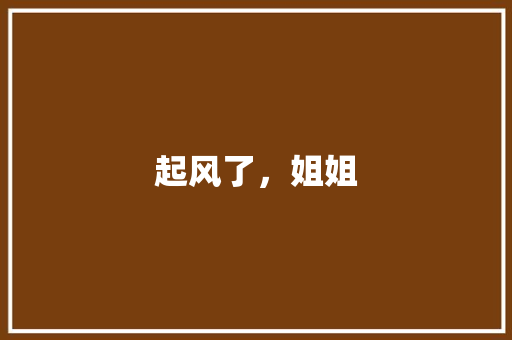 起风了，姐姐 简历模板