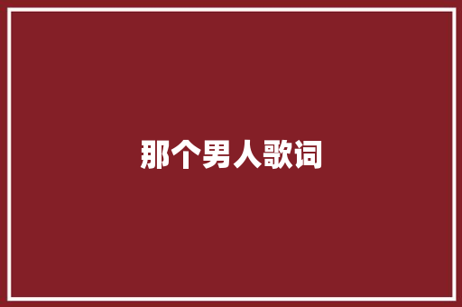 那个男人歌词 范文赏析