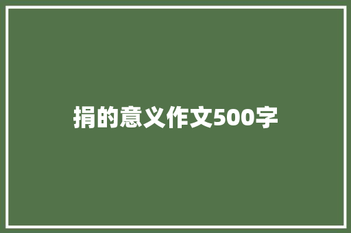 捐的意义作文500字