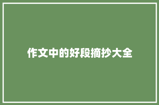 作文中的好段摘抄大全 简历模板