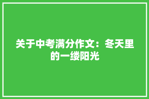 关于中考满分作文：冬天里的一缕阳光 范文赏析