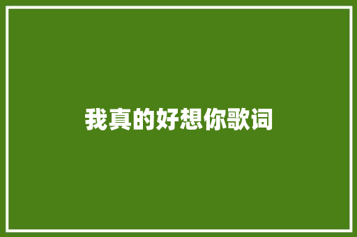 我真的好想你歌词 简历模板