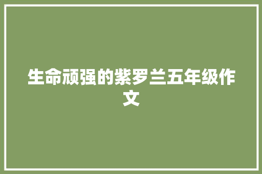 生命顽强的紫罗兰五年级作文 报告写作