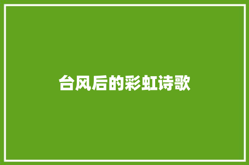 台风后的彩虹诗歌 报告写作