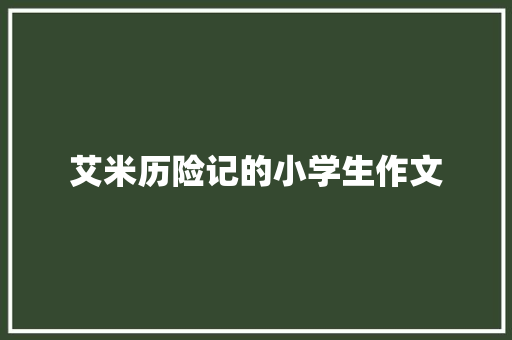 艾米历险记的小学生作文 报告写作