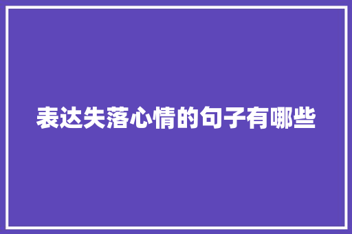 表达失落心情的句子有哪些 报告写作