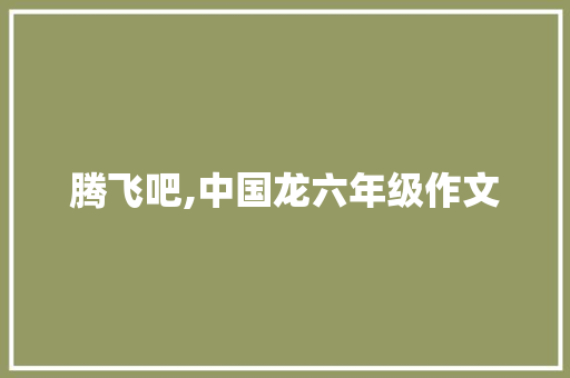 腾飞吧,中国龙六年级作文 简历模板