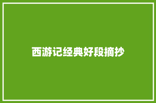 西游记经典好段摘抄 词汇积累
