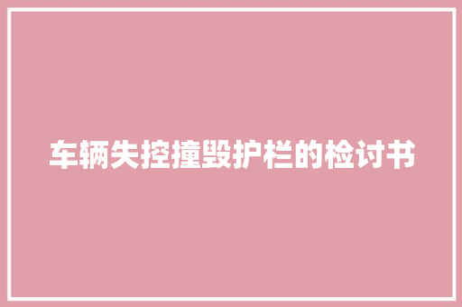 车辆失控撞毁护栏的检讨书 范文赏析