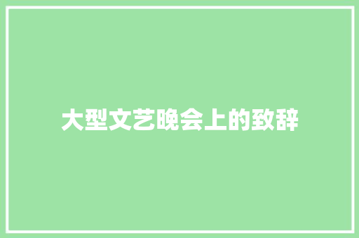 大型文艺晚会上的致辞 简历模板
