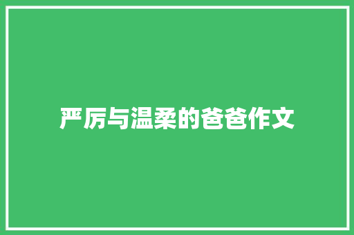 严厉与温柔的爸爸作文 报告写作