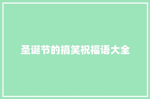 圣诞节的搞笑祝福语大全